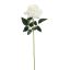 VELVET OPEN ROSE 75CM CREAM