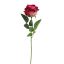 VELVET ROSE 50CM BEAUTY