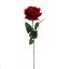 VELVET ROSE 50CM BURGUNDY