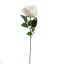 VELVET ROSE 50CM CREAM