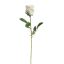 VELVET ROSEBUD 55CM CREAM