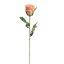 VELVET ROSEBUD 55CM PEACH