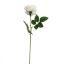 VELVET ROSE 60CM CREAM