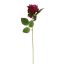 VELVET ROSE 52CM BEAUTY