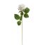 VELVET ROSE 52CM CREAM