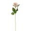 VELVET ROSE 52CM PEACH