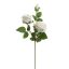VELVET ROSE SPRAY 55CM CREAM