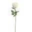 LARGE BALL ROSE 80CM CREAM