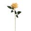 ROSE 50CM BEIGE