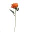 ROSE 50CM ORANGE