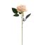 ROSE 50CM PEACH