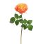 PROVENCE ROSE 52CM SALMON