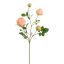 ROSEBUD SPRAY 65CM PEACH