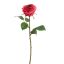 ROSE 45CM BEAUTY
