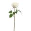 ROSE 45CM CREAM