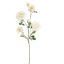 ALBA ROSE SPRAY 95CM CREAM