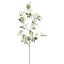 MINI GARDEN ROSE SPRAY 105CM CREAM