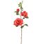 ROSE SPRAY 85CM CORAL
