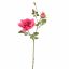 ROSE X2 65CM BEAUTY