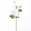 ROSE X2 65CM CREAM