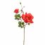 ROSE X2 65CM RED