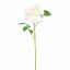 SINGLE ROSE 78CM CREAM