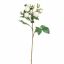 ROSE SPRAY 78CM CREAM