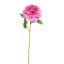 SINGLE ROSE 79CM BEAUTY