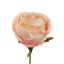 40110050-pe_2.jpg