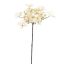 HYDRANGEA SPRAY 75CM CREAM