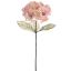 HYDRANGEA 75CM CREAM PINK