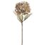 HYDRANGEA DRY LOOK 75CM GREEN