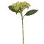 BUDDING HYDRANGEA 45CM GREEN