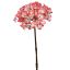 HYDRANGEA 50CM RED