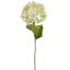 HYDRANGEA 70CM GREEN
