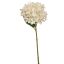 HYDRANGEA 45CM CREAM