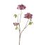 HYDRANGEA BRANCH 70CM BURGUNDY