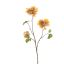 HYDRANGEA BRANCH 70CM OCRE