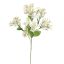 WILD HYDRANGEA 55CM CREAM