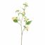 MINI HYDRANGEA 100CM YELLOW