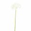SINGLE HYDRANGE 63CM CREAM