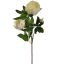 PEONY SPRAY X 3 70CM CREAM