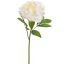 OPEN PEONY 56CM CREAM