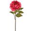 OPEN PEONY 57CM BEAUTY