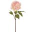 OPEN PEONY 57CM CREAM PINK