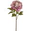 OPEN PEONY 57CM MAUVE