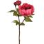 PEONY SPRAY 48CM BEAUTY