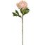 VELVET PEONY 65CM PEACH