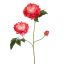 OPEN PEONY BRANCH 80CM CORAL