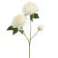OPEN PEONY BRANCH 80CM CREAM